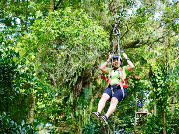 Flying Fox Kanopi